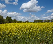 Noordrijn-Westfalen 