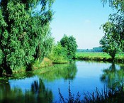 Leiestreek