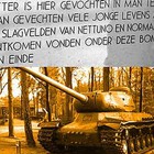  Unendlicher Spaß während einer Nacht im Freien